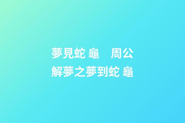 夢見蛇 龜　周公解夢之夢到蛇 龜